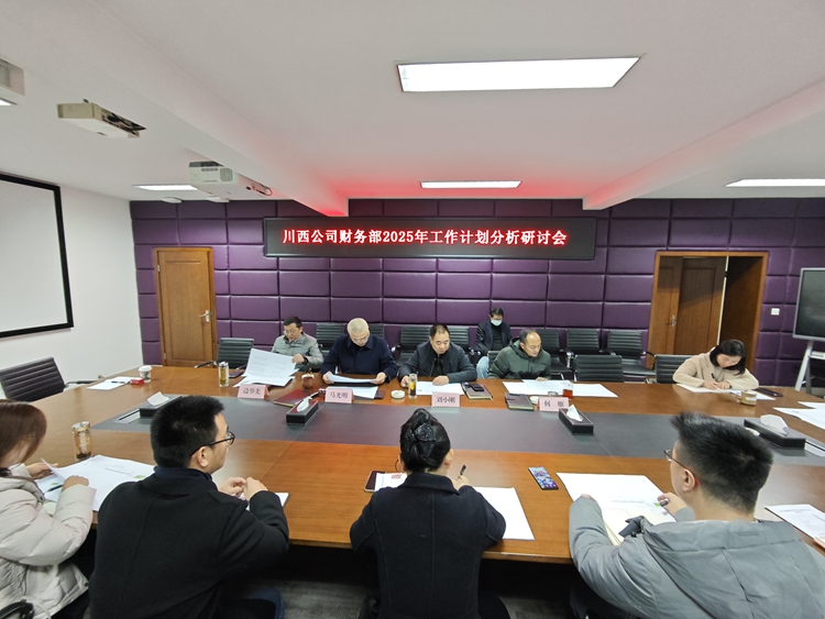 20250107川西公司召開財務(wù)預(yù)算執(zhí)行及經(jīng)營分析會_副本.jpg